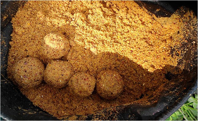 (ловля, карася, камышах) Ловля карася в камышах