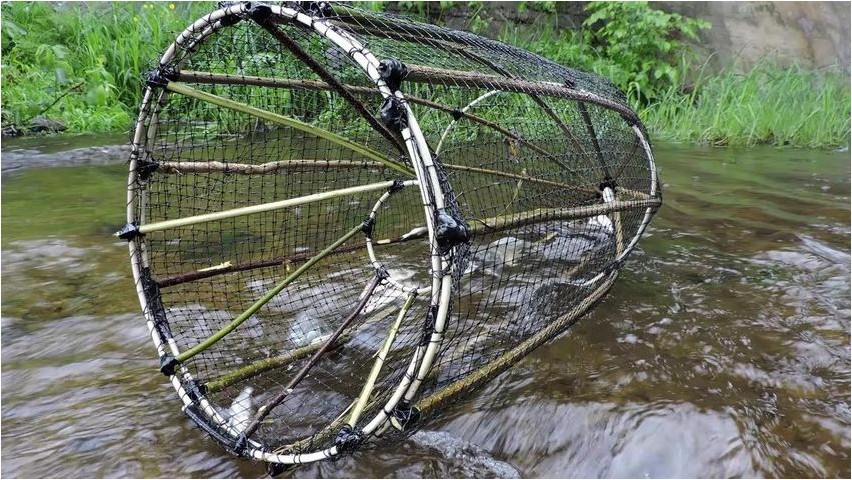 Способы ловли рыбы ловли
