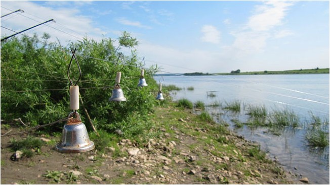 Ловля на пружину