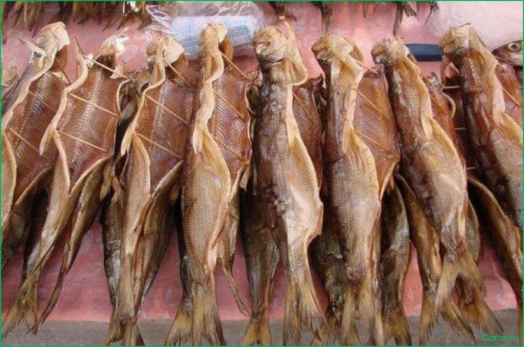 (блюда, сушеной, рыбы) Блюда из сушеной рыбы