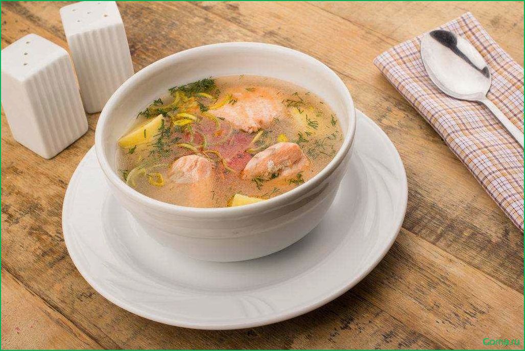 Мясной или рыбный суп: какой выбрать?