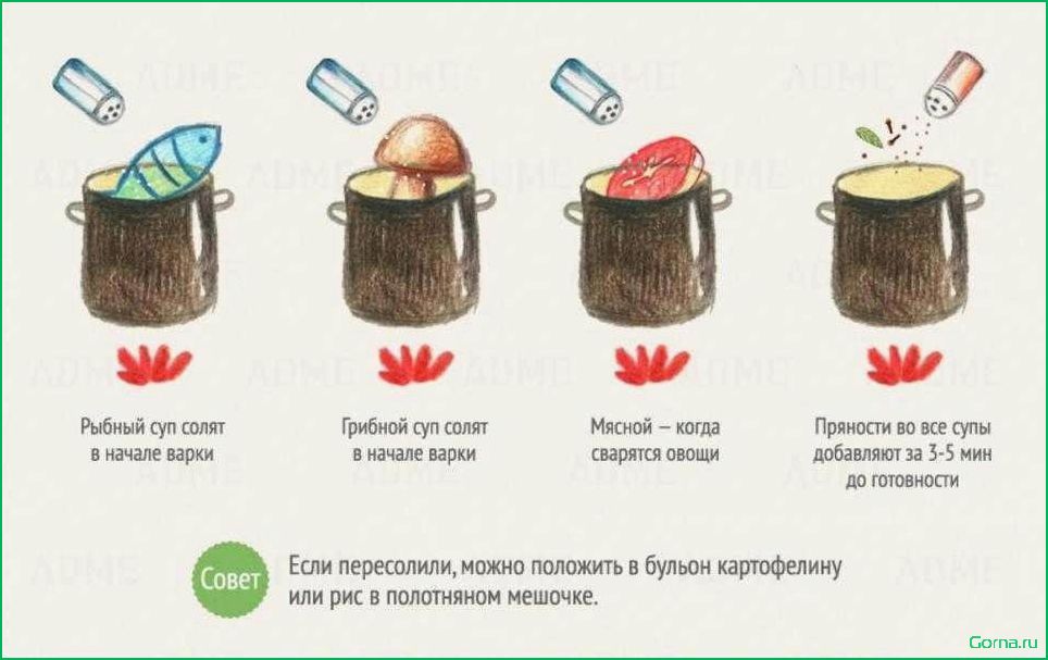 Мясной или рыбный суп: какой выбрать?