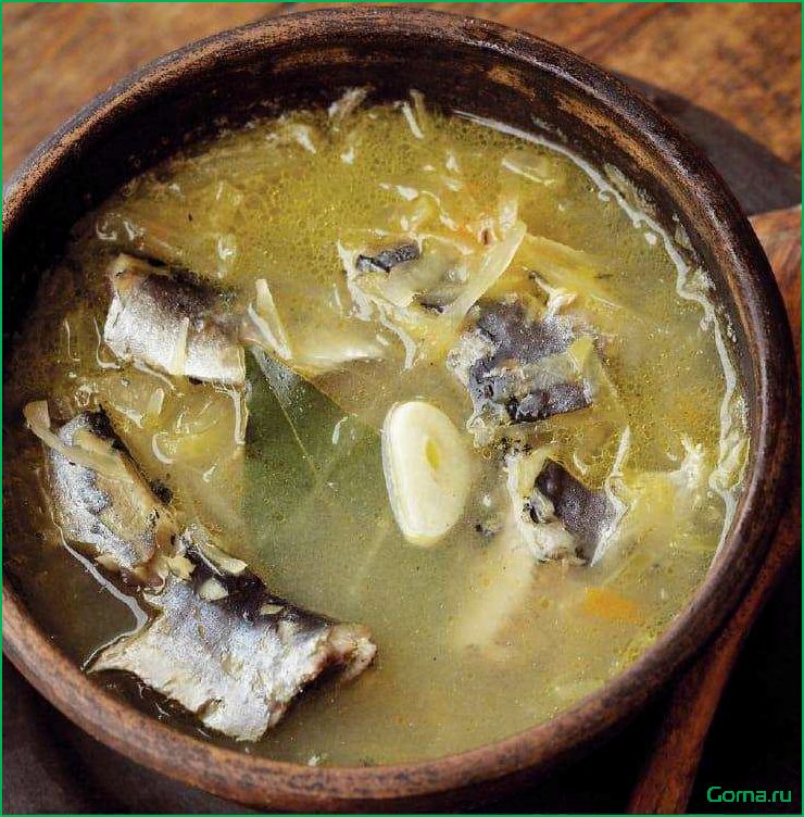Мясной или рыбный суп: какой выбрать?