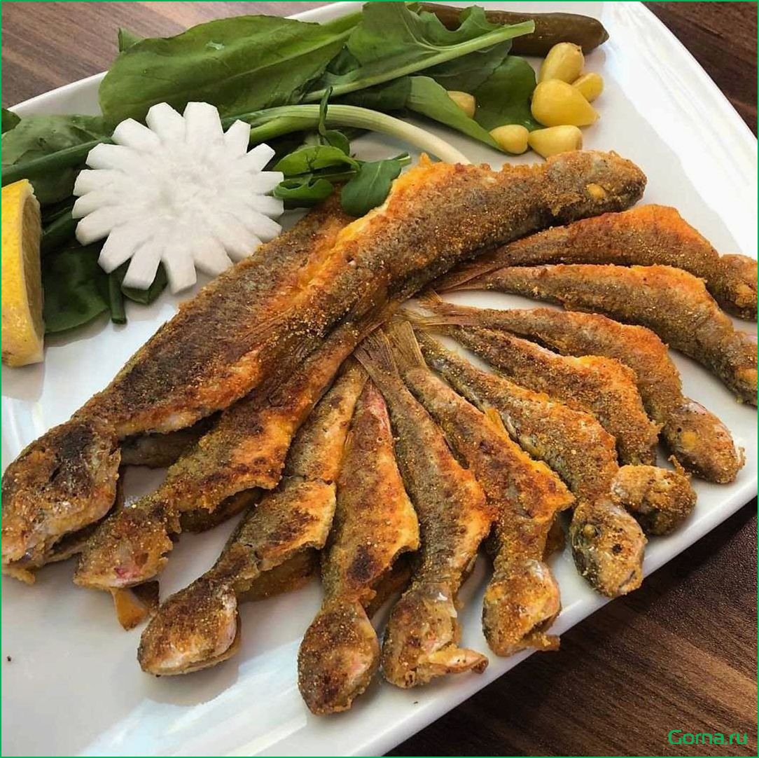 Блюда из барабульки рыбы: рецепты и советы