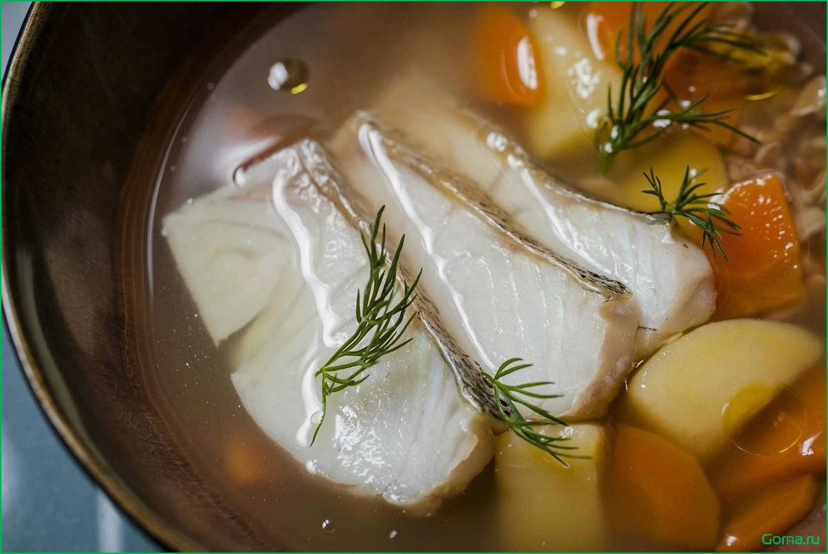 Как приготовить вкусный рыбный суп из зубатки: рецепт и советы