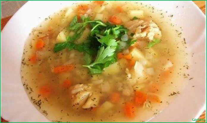 Как приготовить вкусный рыбный суп из зубатки: рецепт и советы