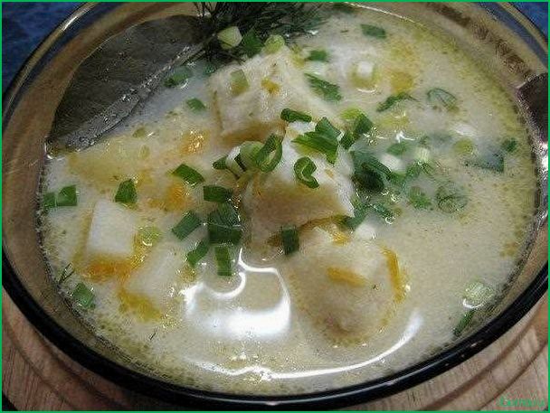 Как приготовить вкусный рыбный суп из зубатки: рецепт и советы