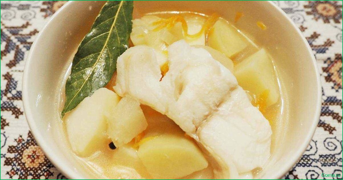 Как приготовить вкусный рыбный суп из зубатки: рецепт и советы