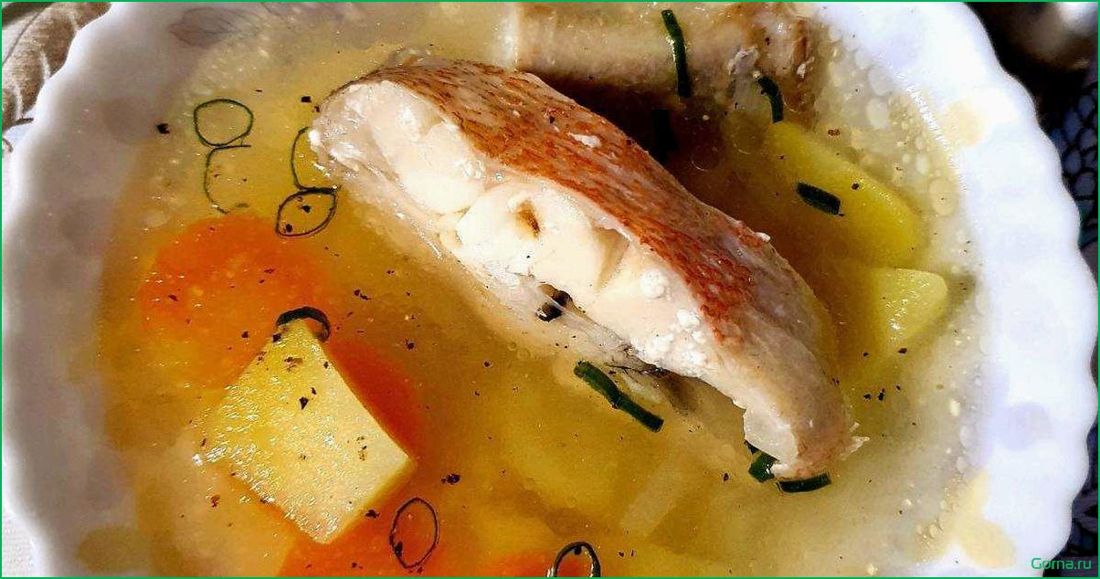 Как приготовить вкусный рыбный суп из зубатки: рецепт и советы