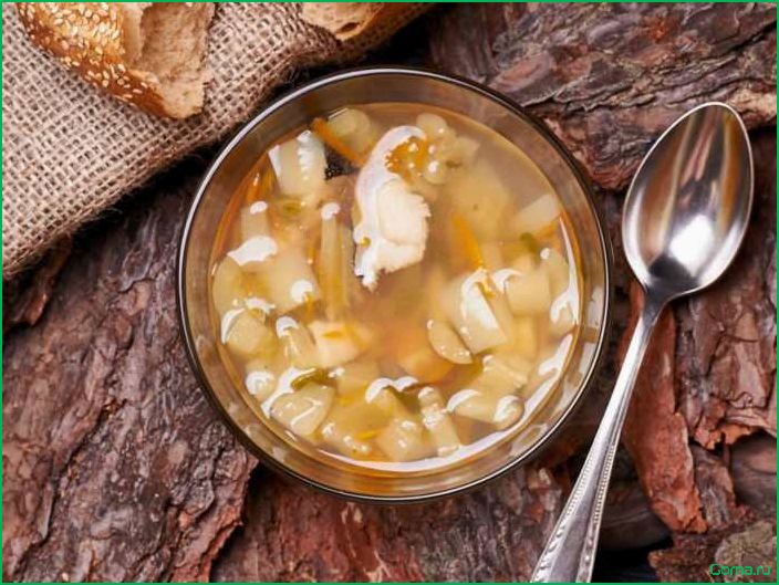 Как приготовить вкусный рыбный суп из зубатки: рецепт и советы