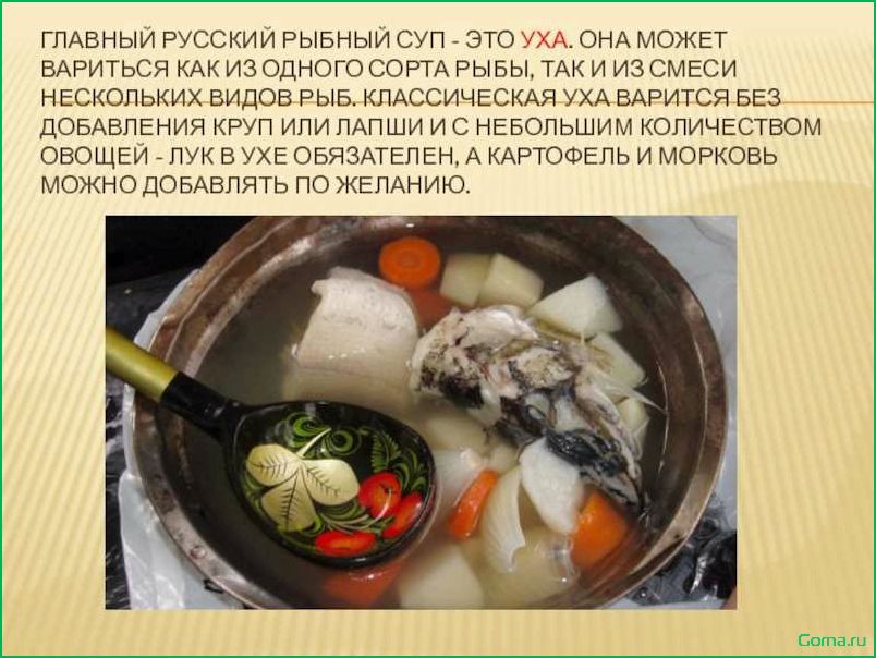 Разнообразие рыбных супов: популярные рецепты и варианты приготовления