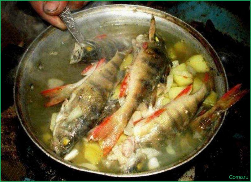 Рыбный суп из карасей