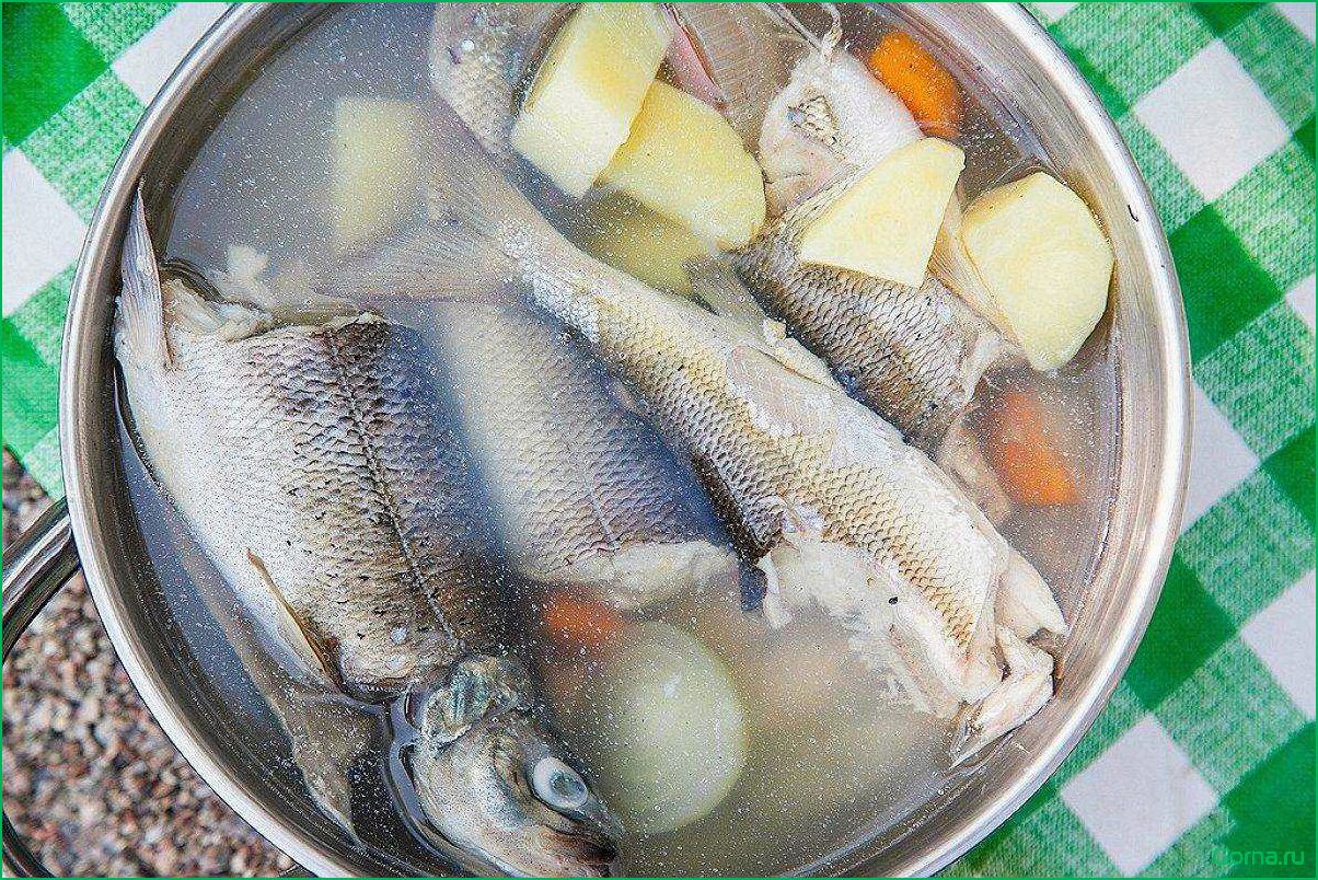 Уха на рыбной неделе