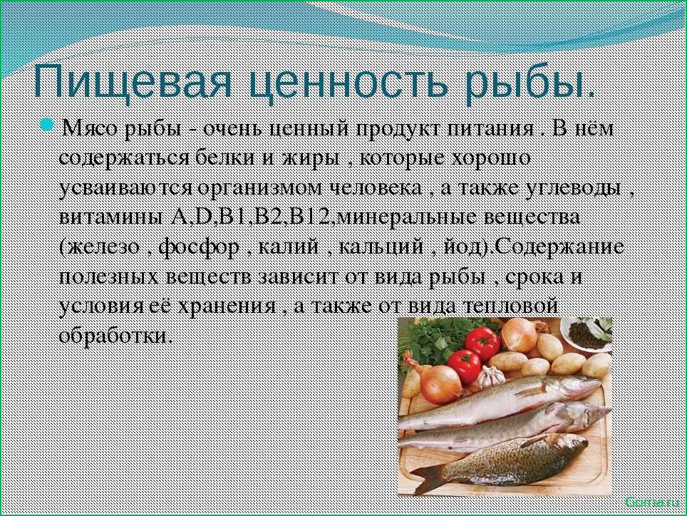(рыба, диетическом, рационе, полезные, блюда) Рыба в диетическом рационе: полезные блюда и рецепты