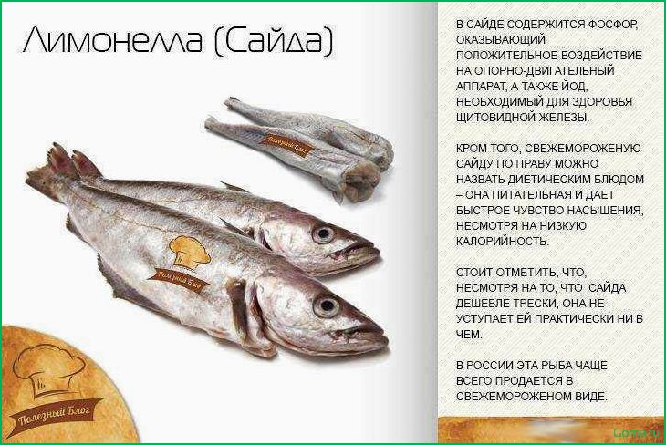 Рыба лимонеллы: рецепты и блюда