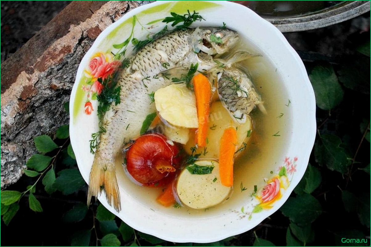 Рыбный суп из ливорно