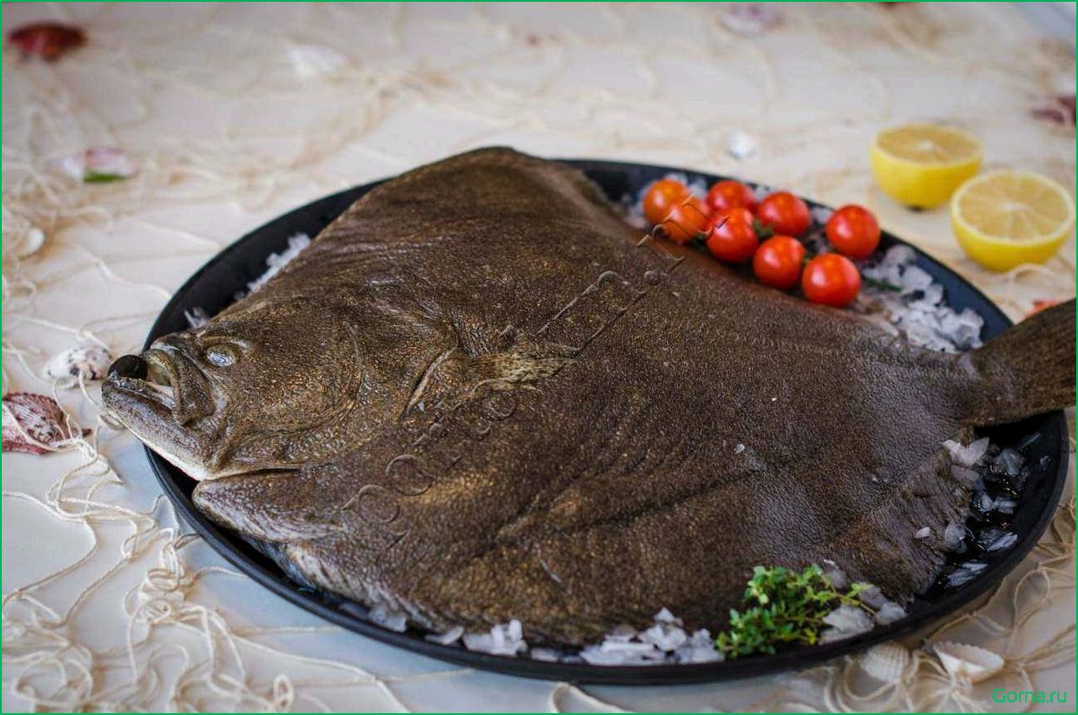 Рецепты блюд из камбалы