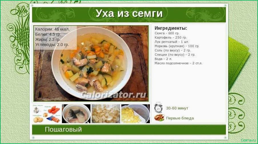 Полезный и сытный рыбный суп: источник белка для вашего организма