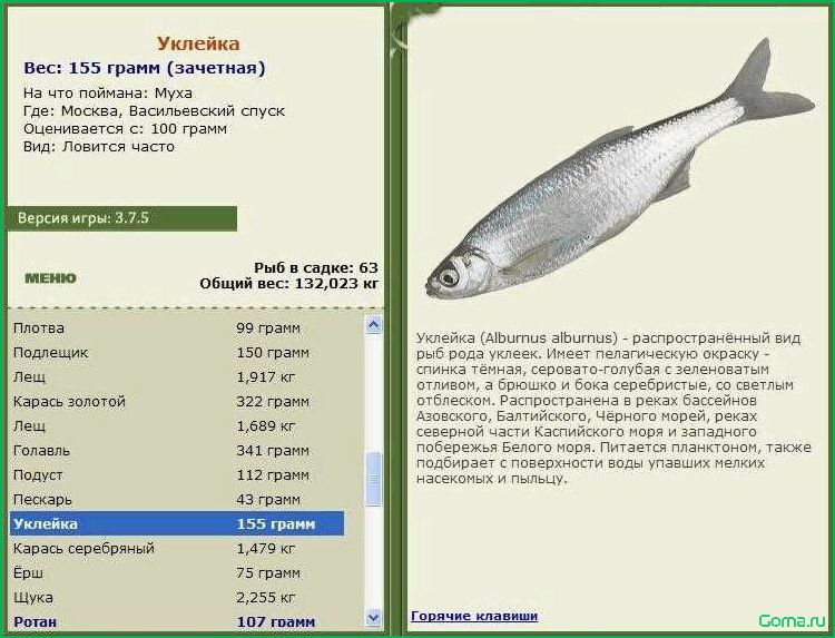 (рецепт, блюда, уклейки) Рецепт блюда из уклейки