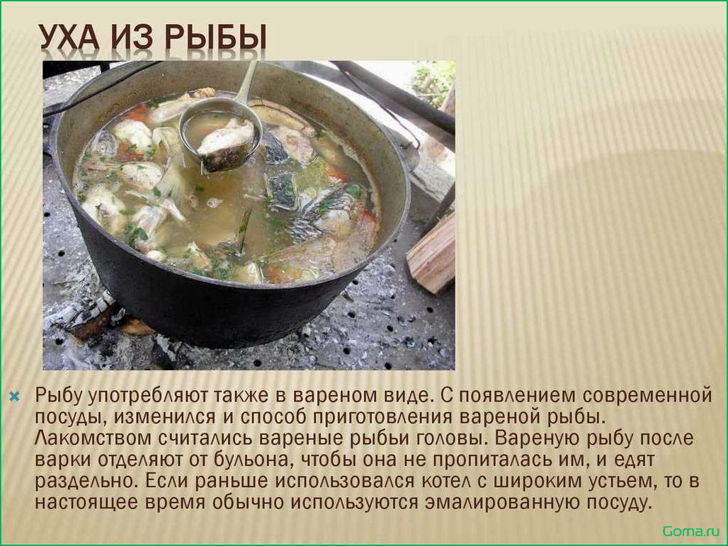Как приготовить уху из рыбы: лучшие рецепты и секреты