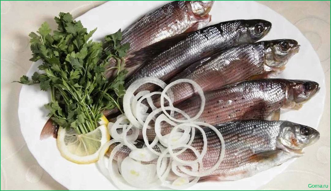 (омуль, рыба, блюда, рецепты) Омуль рыба: блюда и рецепты