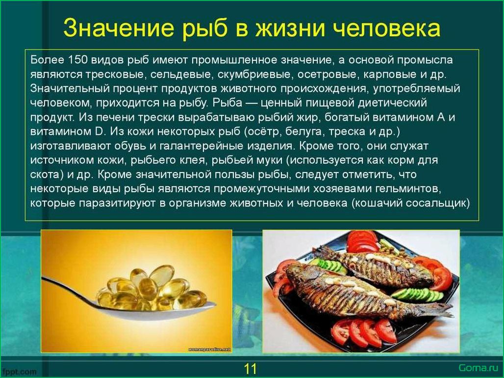 (виды, рыбы, блюд) Виды рыбы для блюд
