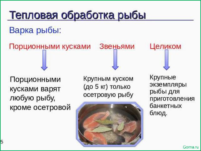 (виды, рыбы, блюд) Виды рыбы для блюд