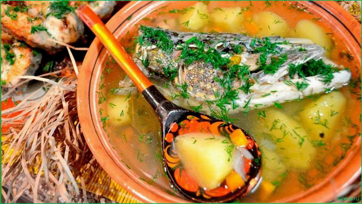 (рыбная, рецепты, полезные, свойства, секреты) Уха рыбная: рецепты, полезные свойства и секреты приготовления