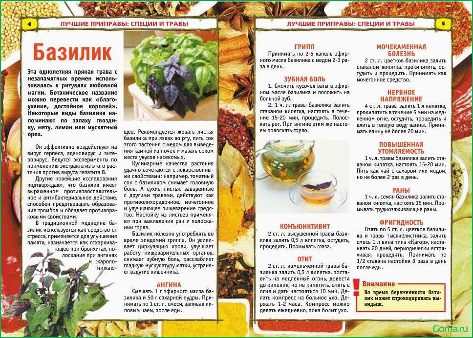 Как выбрать и использовать приправу для рыбного супа