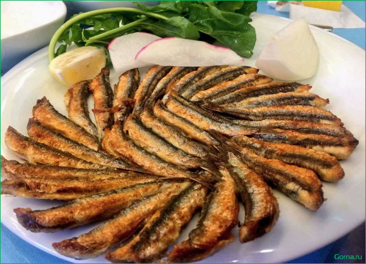 Рыба хамса: рецепты и блюда