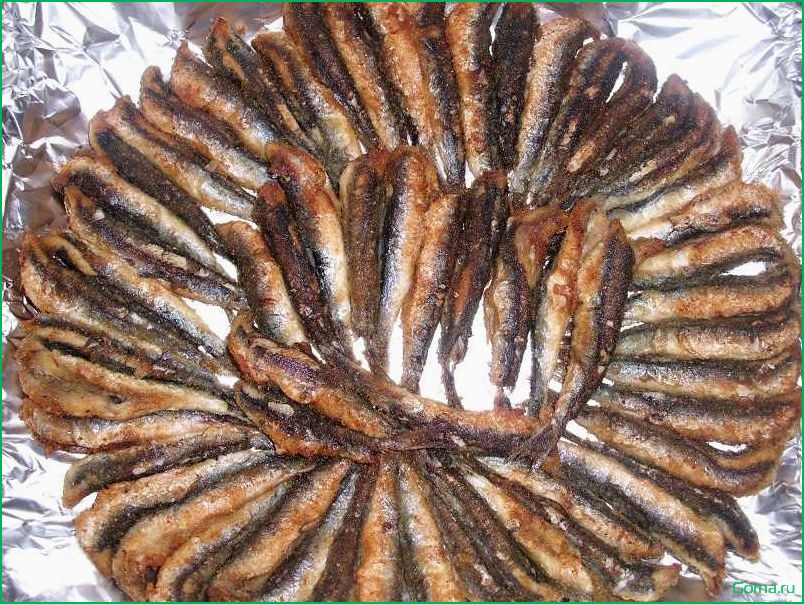 Рыба хамса: рецепты и блюда
