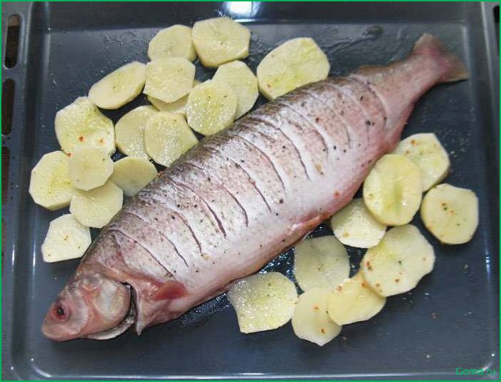 Рецепт блюда из рыбы нельма
