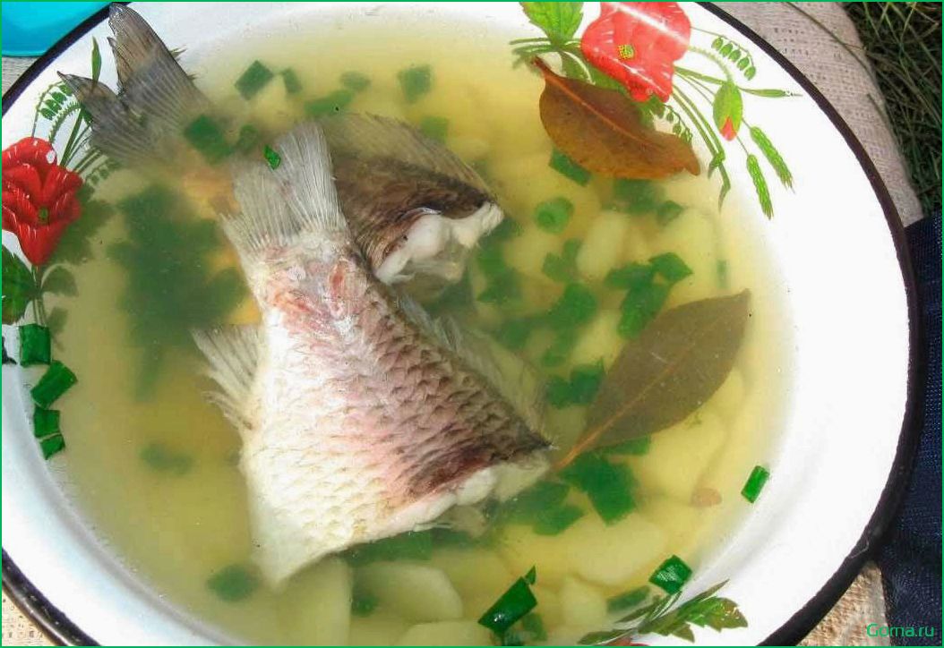 Приготовление вкусного рыбного супа с использованием леща