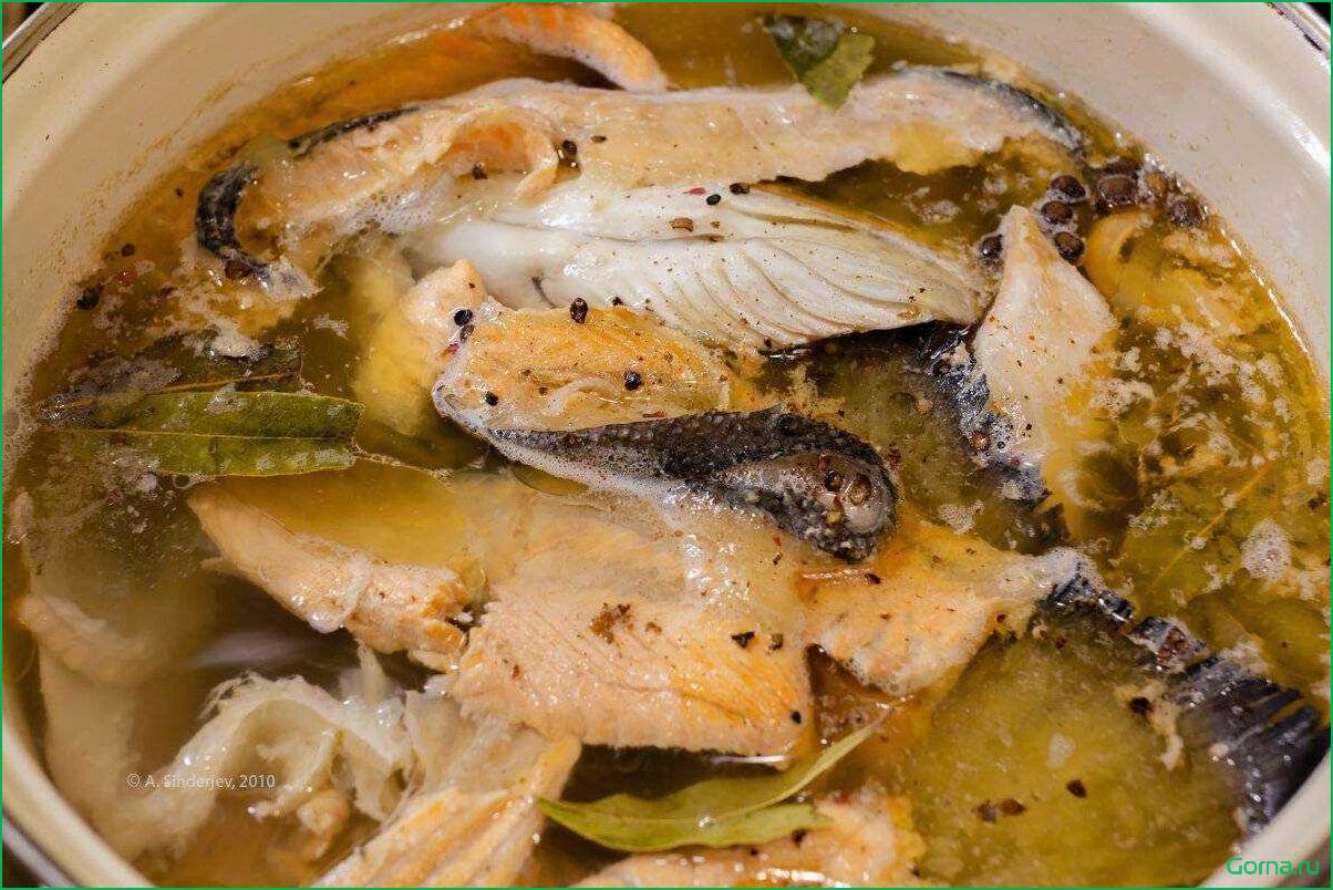 Приготовление вкусного рыбного супа с использованием леща