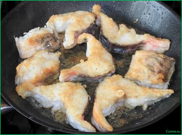 Блюда из рыбы конгрио: рецепты и советы