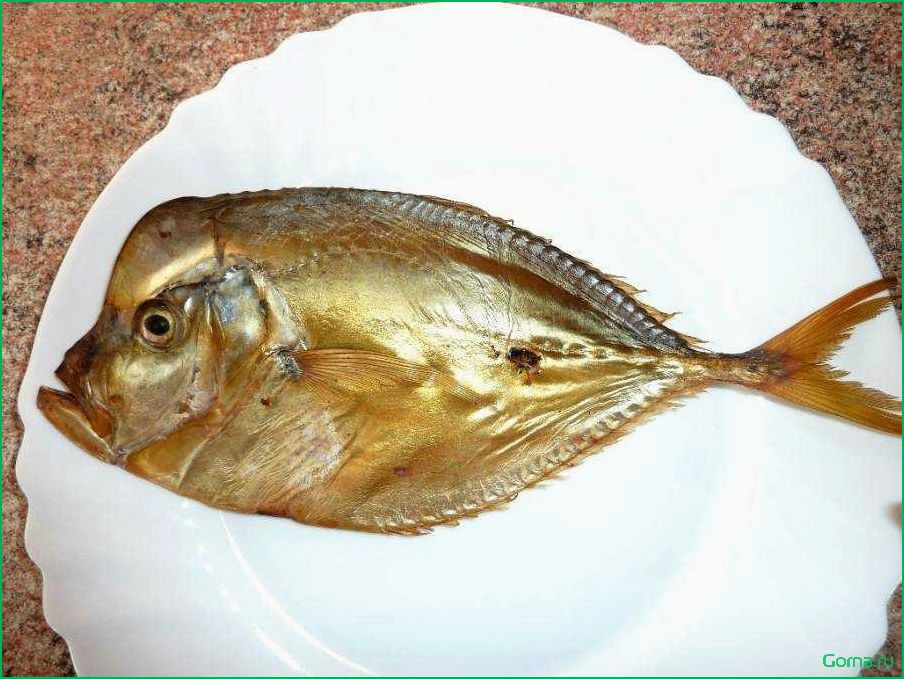 Блюда из рыбы мокрус