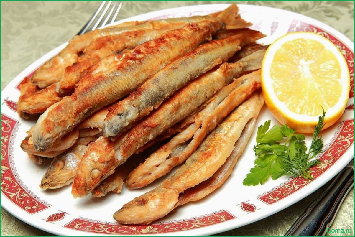 Пескарь рыба: лучшие блюда и рецепты