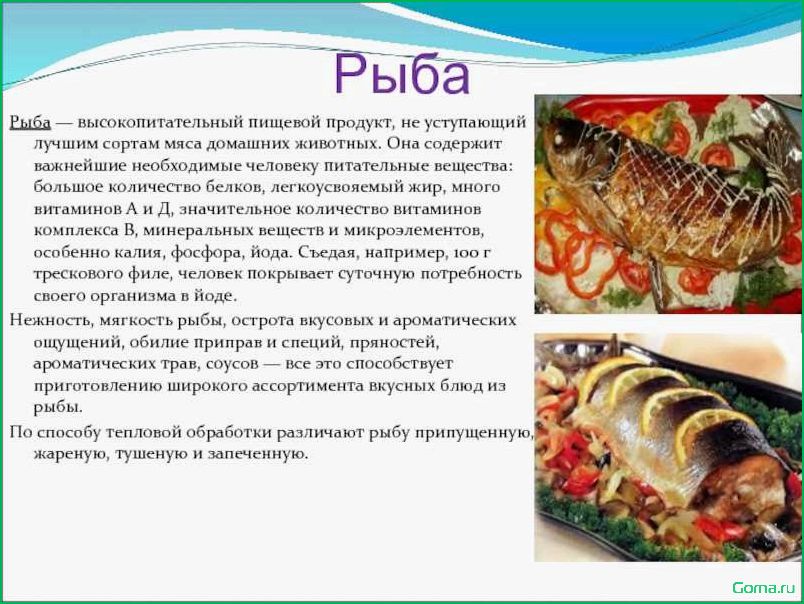 (блюда, рыбы, реферат) Блюда из рыбы: реферат