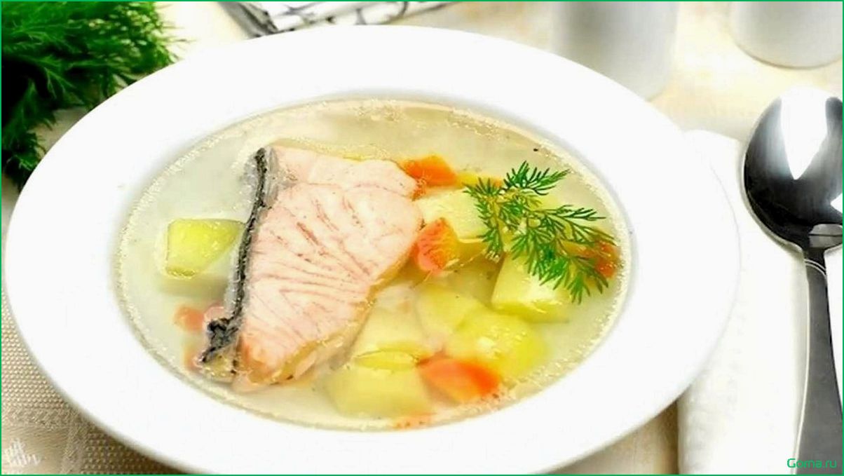 Изысканный рыбный суп с белками: вкусное блюдо для здорового питания