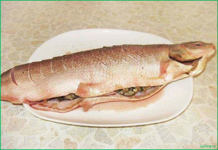 Муксун: рыба и блюда из нее