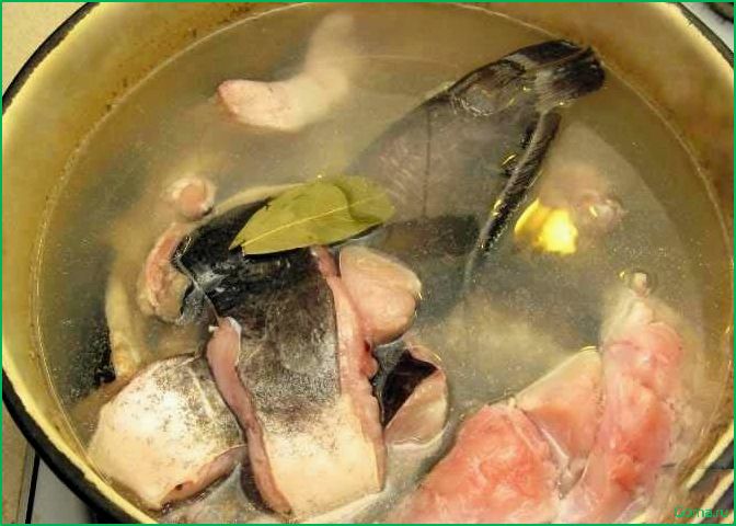 Рыбный суп из сома