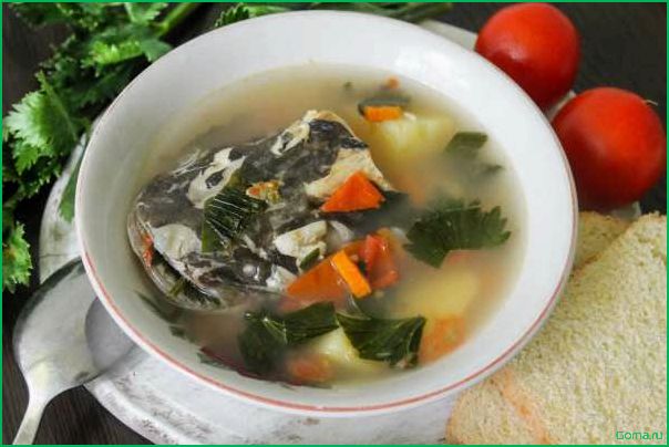 Рыбный суп из сома
