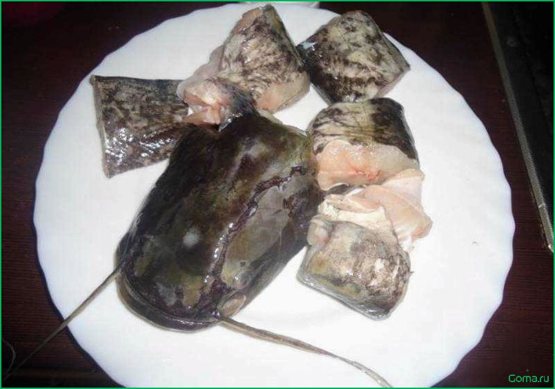 Рыбный суп из сома