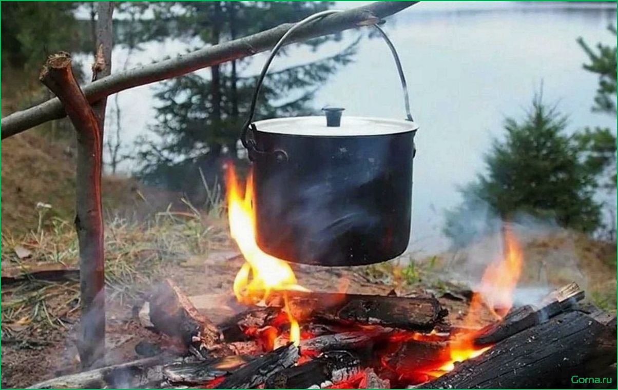 (рыбная, природе, рецепты, секреты, приготовления) Рыбная уха на природе: рецепты и секреты приготовления