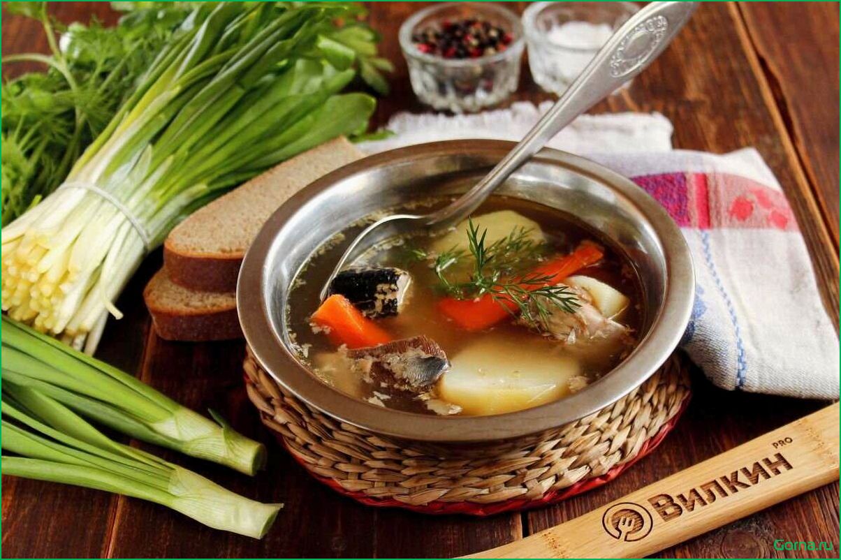 Рыбные сухие супы: вкусные и полезные рецепты