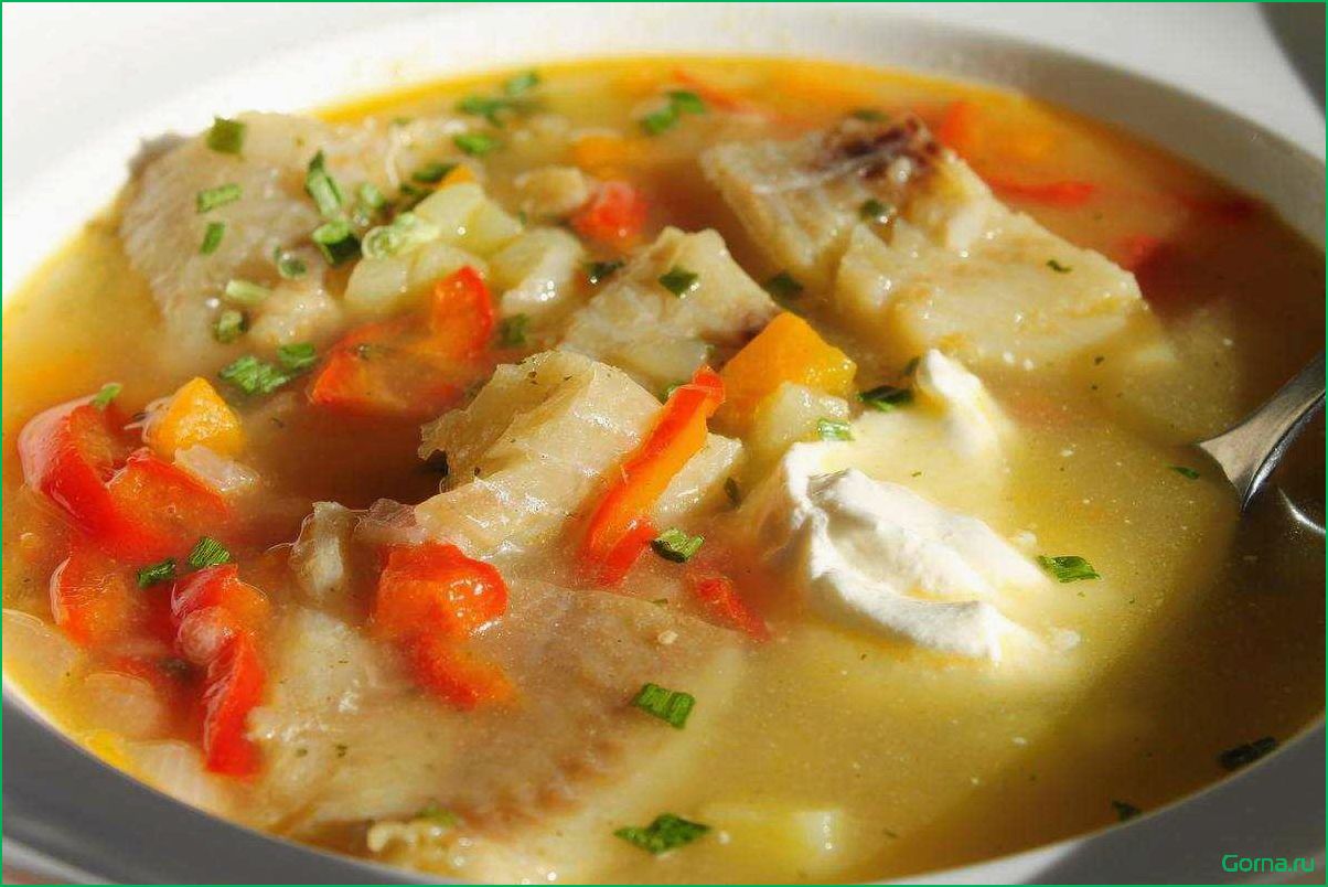 Рыбные сухие супы: вкусные и полезные рецепты
