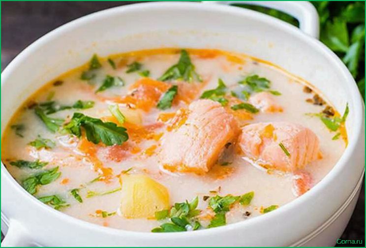 Рецепт приготовления быстрого и вкусного рыбного супа