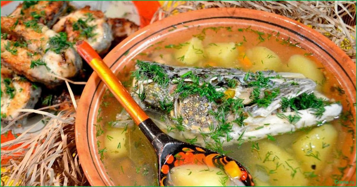 Вкусный рецепт рыбного супа с кабачками