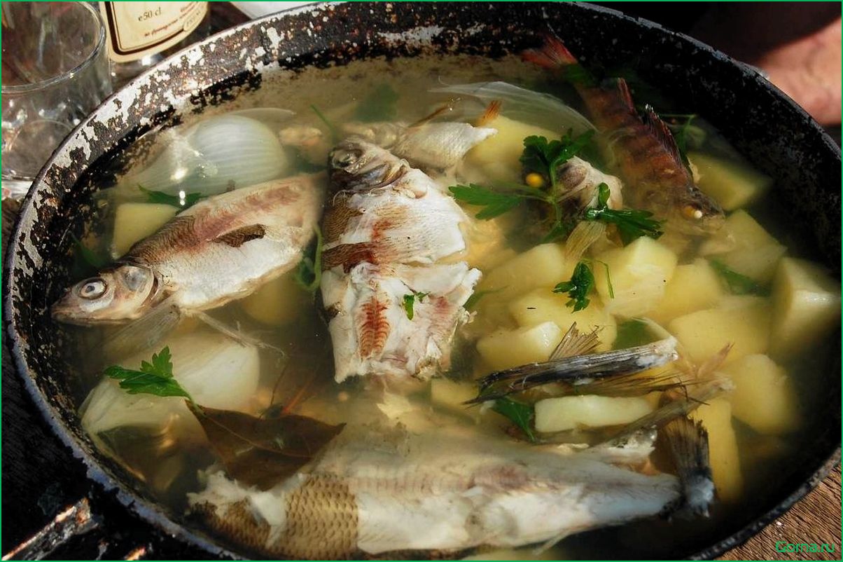 Как приготовить вкусную рыбную уху