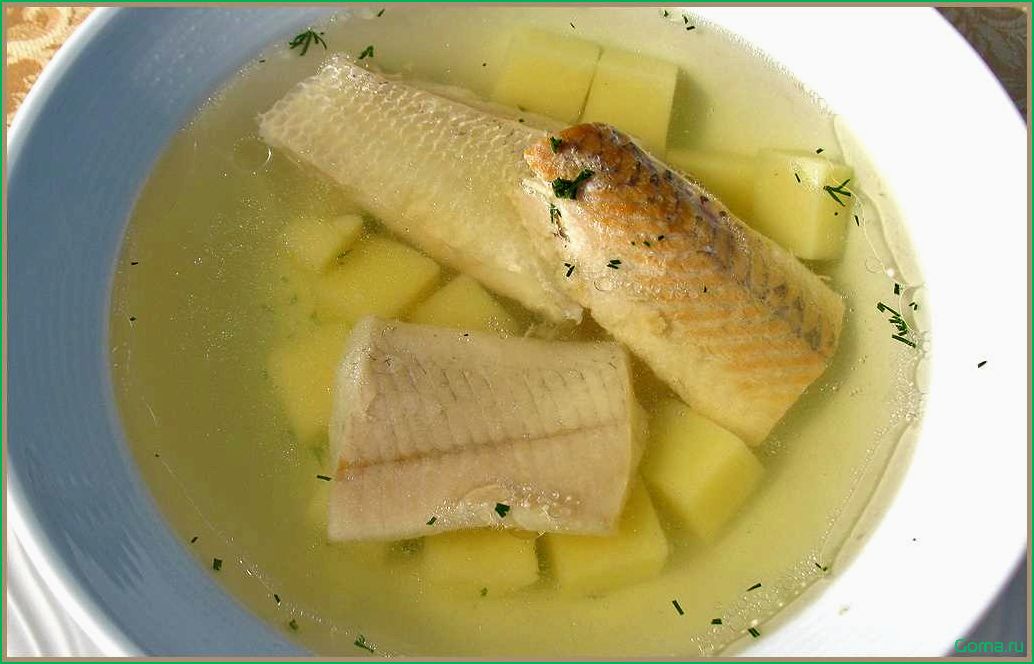 Рыбный суп из палтуса